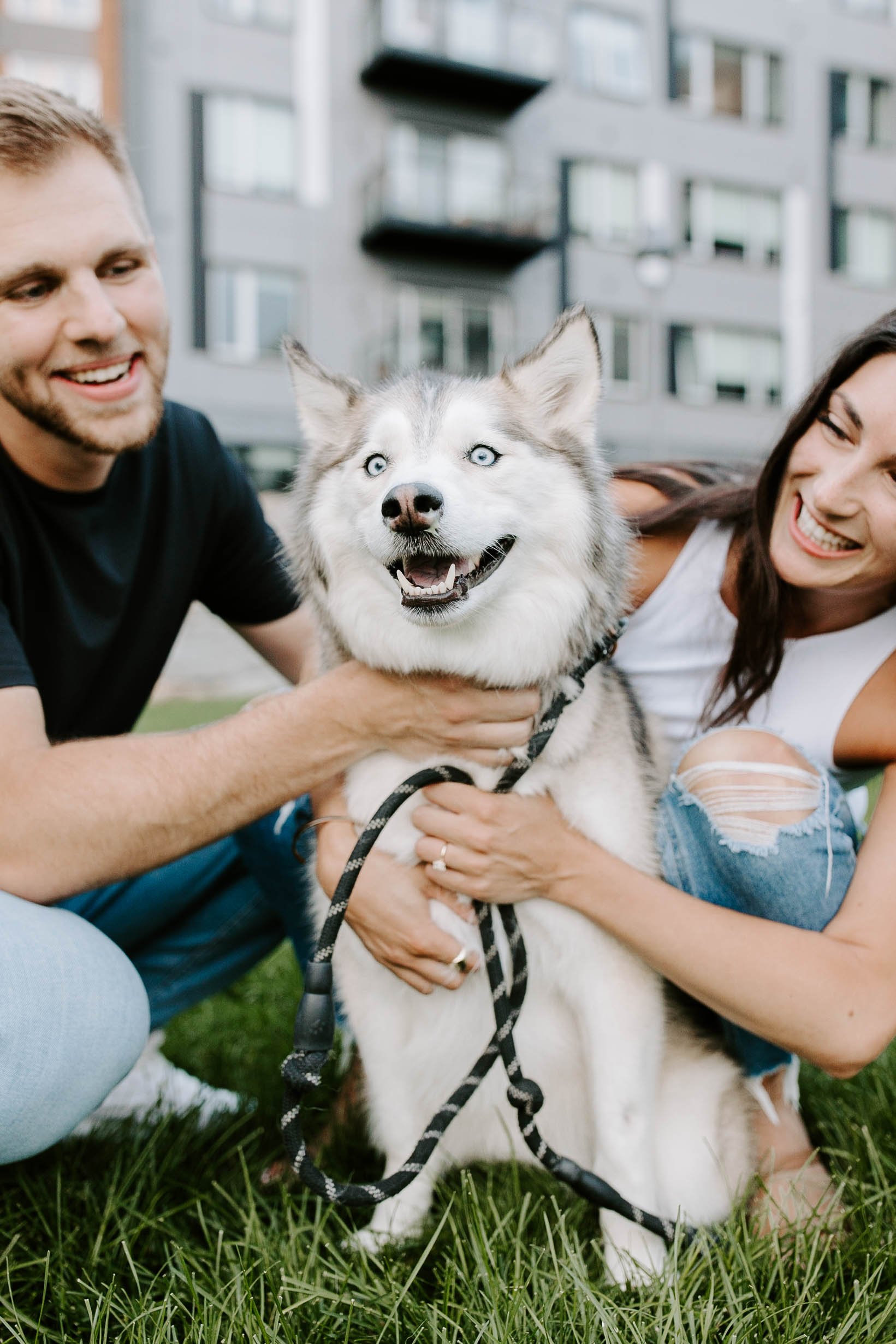  Engaged couple smiling holding their husky at seaport in Boston 