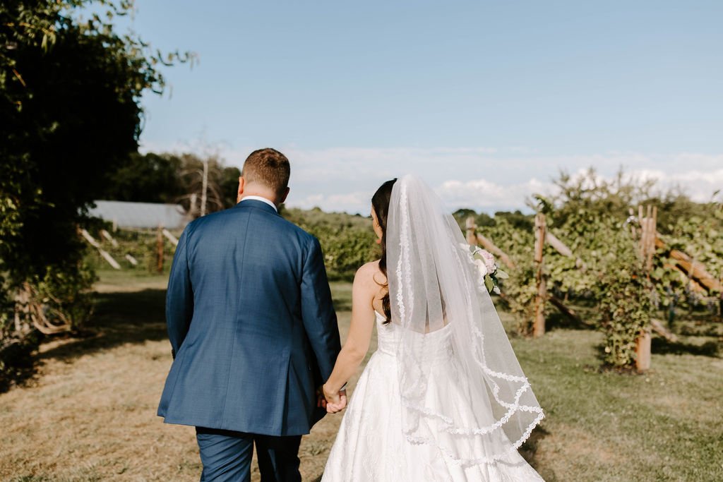 Bride and groom holding hands walking away into vineyards