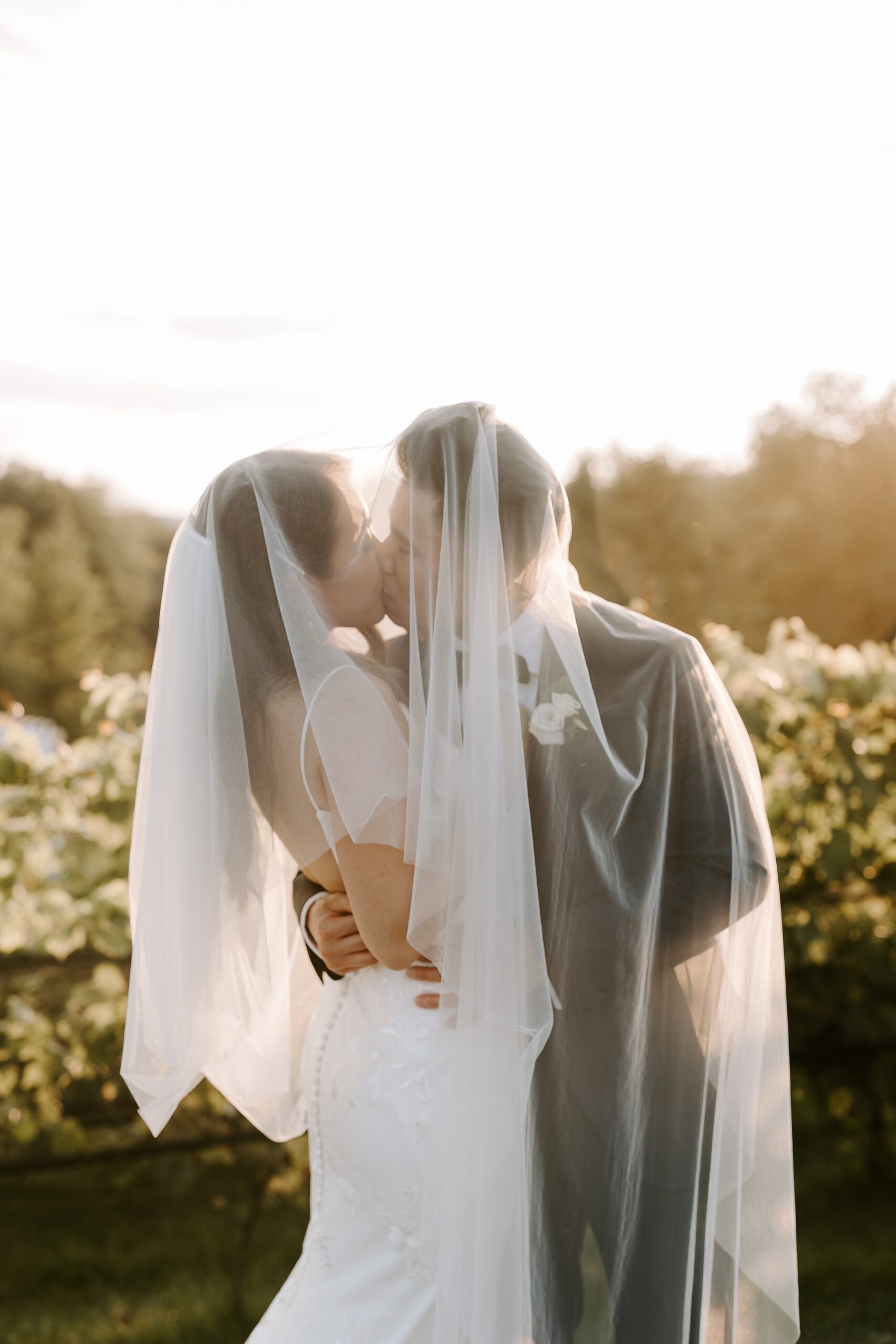 Bride and groom kiss at vineyard wedding
