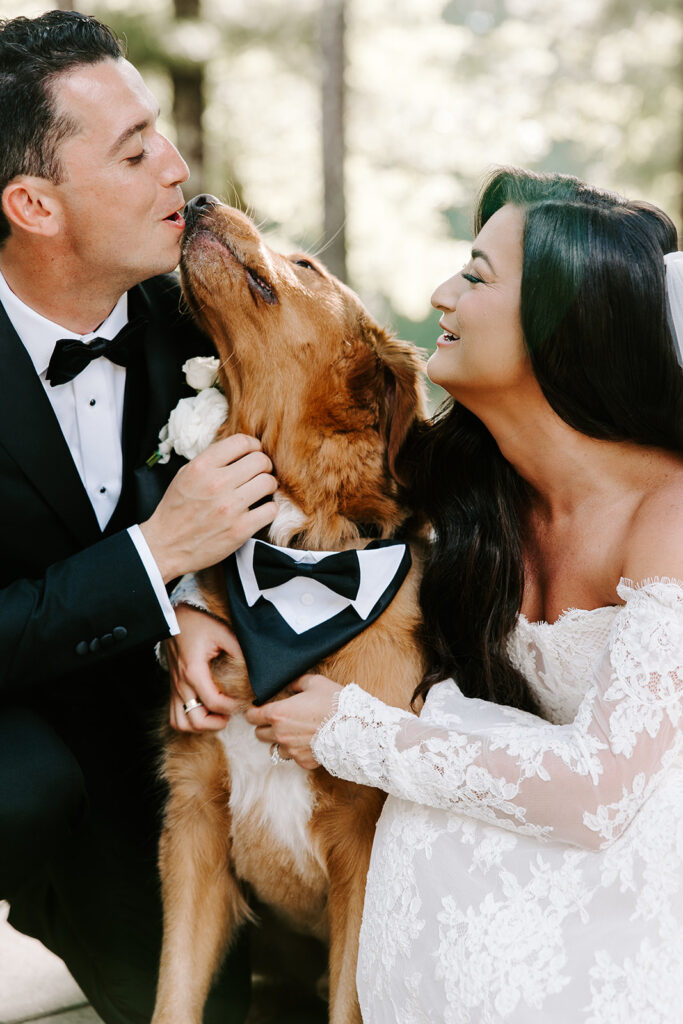 bride and groom playing with their dog