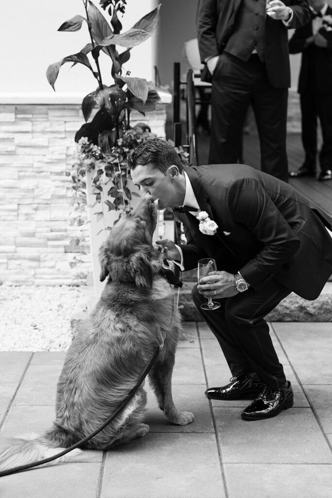 dog ring bearer and groom